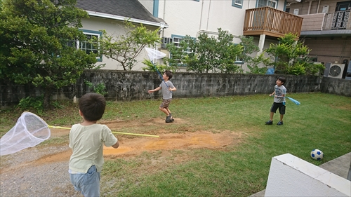 8���E�W���O���I